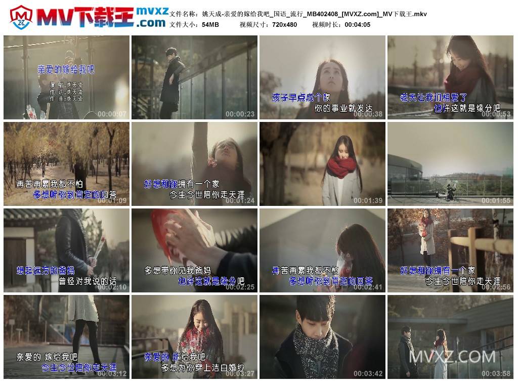 姚天成-亲爱的嫁给我吧_国语_流行_MB402408